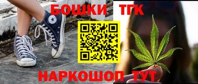 гидра Заводоуковск