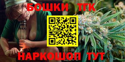 гидра Заводоуковск