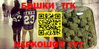 гидра Заводоуковск