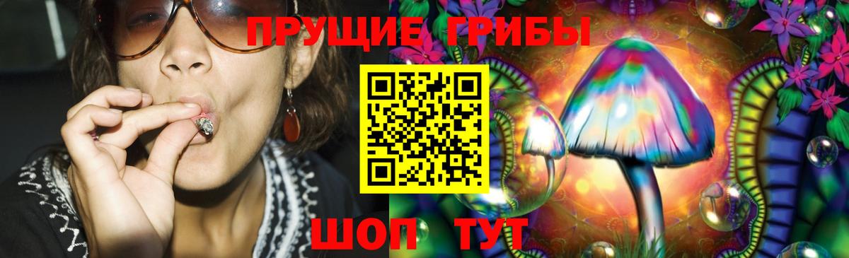 Новочебоксарск  Галлюциногенные грибы Magic Shrooms  наркошоп  Галлюциногенные грибы GOLDEN TEACHER  Вход с VPN 